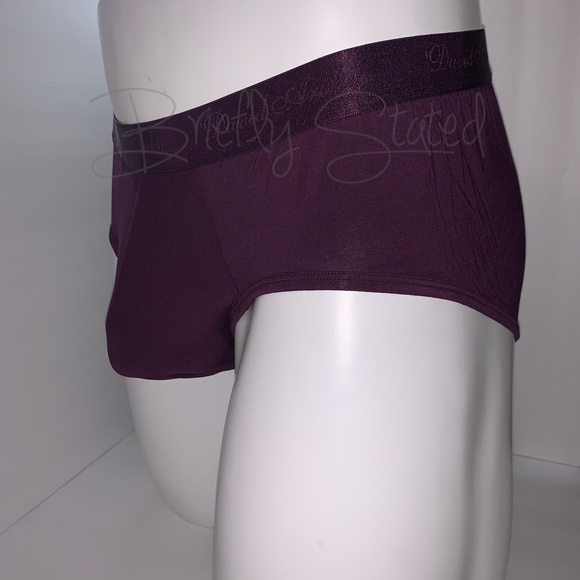David Archy Micro Modal Briefs - Wine (L) - Picture 1 of 7